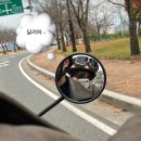 마루콩콩 이미지