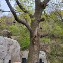 석불암 마애여래좌상 이미지