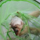 방축낚시터 이미지