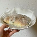 올리브 치아바타 샌드위치 빵레시피 칼로리 보관방법 감성빵집 내돈내산 후기
