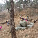 매화숲유치원 이미지