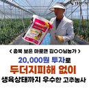 용성농약사 | 두더지퇴치는 물론 칼슘결핍 해결된 고추농사 신통방통입제 토양개량제 사용 후기