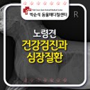 박순석동물메디컬센터 이미지