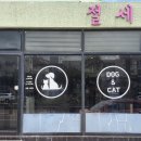 절세미견 네이버블로그