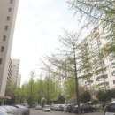 여의도고등학교 내 이미지
