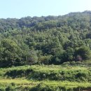 뉴한길공인중개사사무소 이미지