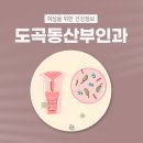 연세이롬산부인과의원 네이버블로그