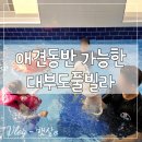 동주빌라 다동 | 애견동반 및 수영 가능한 대부도 풀빌라 독채펜션 후기