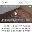 '모기 들끓고 오물 투성'…잼버리 야영장 내부 영상 확보 이미지