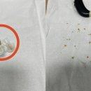 와이덱스보청기유성센터 이미지