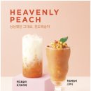 할리스 이미지