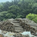 금오산참숯가마찜질방 | [내돈내산]강서구 찜질방 보배산참숯가마 후기 고기 구워먹는 찜질방