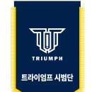 트라이엄프 태권도 이미지