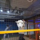 빅 게임랜드 이미지