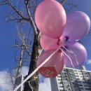 동림초교 이미지