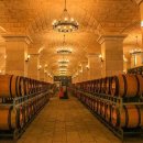 CJ행정사사무소 이미지