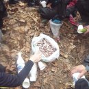 음암초등학교 이미지