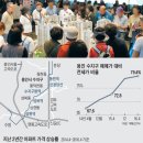 골든라인 이미지