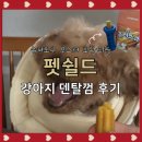 장기슈퍼 | 펫쉴드 츄러스츄 내돈내산 급여 후기｜슈퍼포우 오래츄 가격 때문에 망설였다면