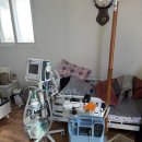 라파엘메디케어 이미지