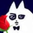 컬러드쟝리 이미지