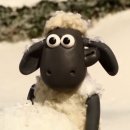 트리밍스토리 | 블랙노즈 양까지 다양한 동물을 만나볼 수 있는 동식물체험테마파크 <마이애니멀스토리 in 평강랜드>