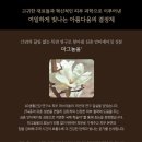 퍼스트기획