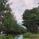 우솔초등학교 앞 이미지