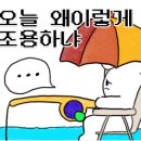 매일좌대낚시 이미지