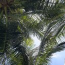 줌 당구장 이미지