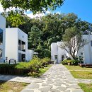 보나의언덕 이미지