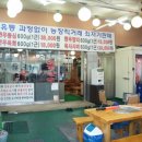 토종한우암소