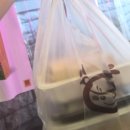 떡볶이GO치킨GO - 은평구 가좌로 281-2 | [을지로맛집]청계천 맛집분식 퇴근길 현선이네 My goto place is 을지로 떡볶이맛집 by에코한나