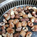 삽교할머니곱창 네이버블로그