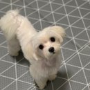 루다네 까까 이미지