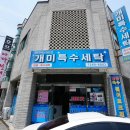 개미세탁 이미지
