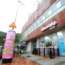 복이애견샵 이미지