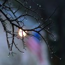 달빛자락 이미지