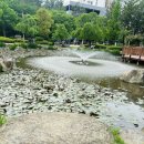 부산 꽃축제 화명동 장미공원 갈만한 곳