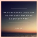 궁창의별