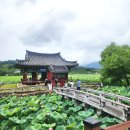 유등연지입구 이미지