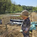 민호농장 이미지