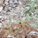 고비농장 이미지