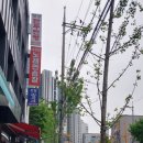 평촌마트약국 이미지