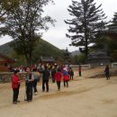 신흥사약수 이미지