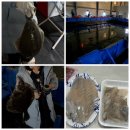 용인실내바다낚시터 이미지