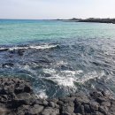 올래퍼피 | 일주일 제주여행 : 7일차 여행-스누피가든/올래국수/제주쏘카