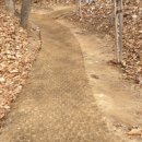 새들 노래연습장 이미지