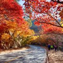 전라권코스 이미지