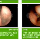 신경찬 네이버블로그